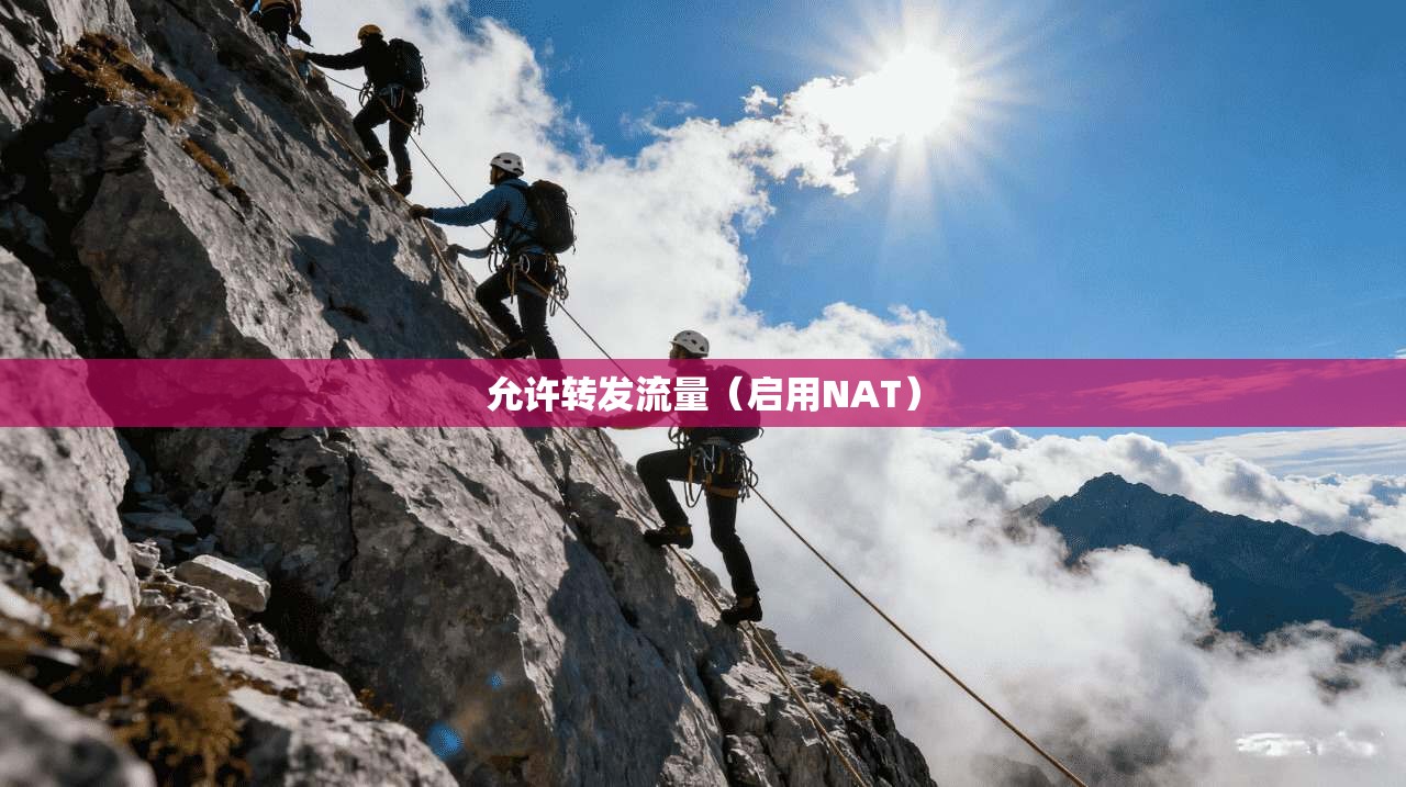 允许转发流量（启用NAT）  第1张
