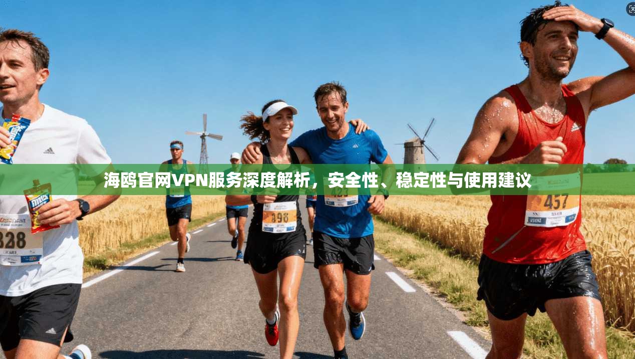 海鸥官网VPN服务深度解析，安全性、稳定性与使用建议  第1张