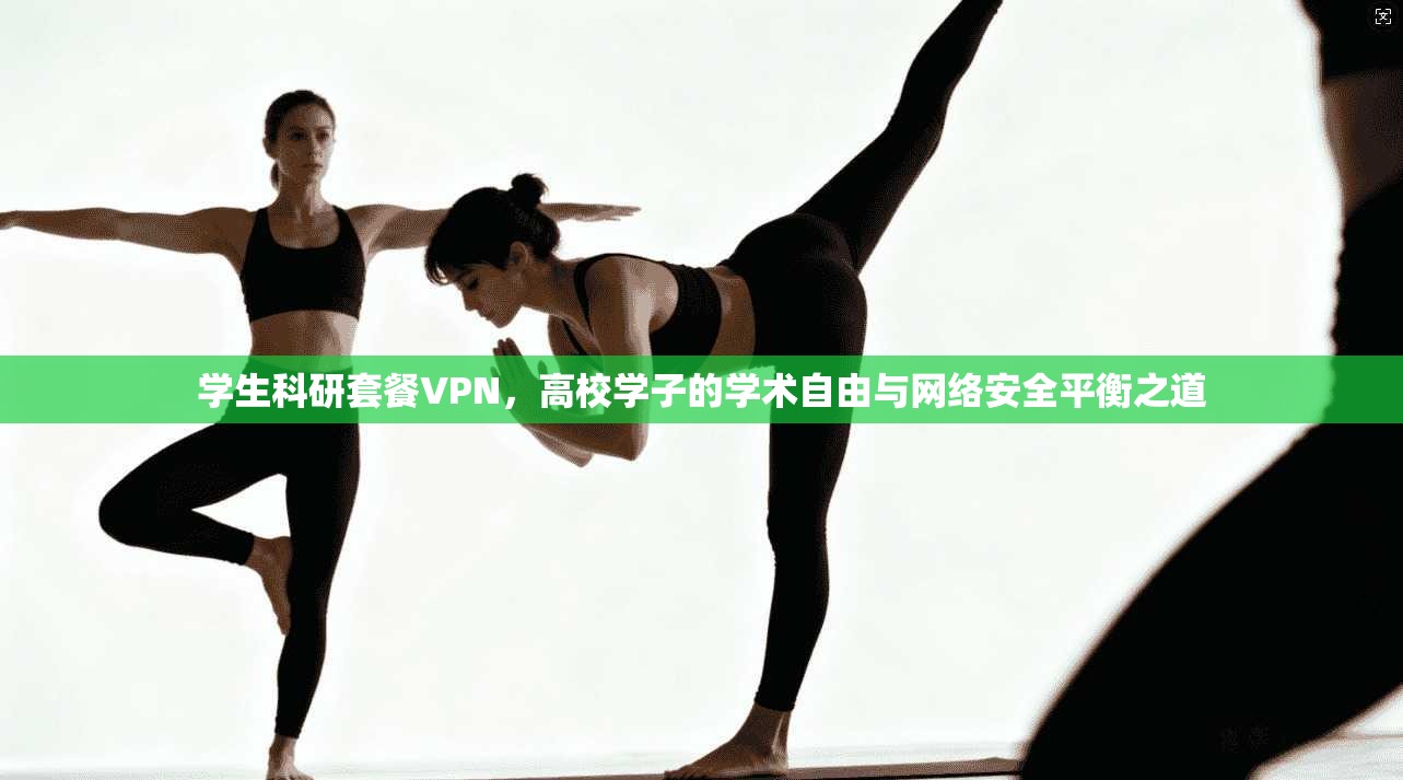 学生科研套餐VPN，高校学子的学术自由与网络安全平衡之道  第1张