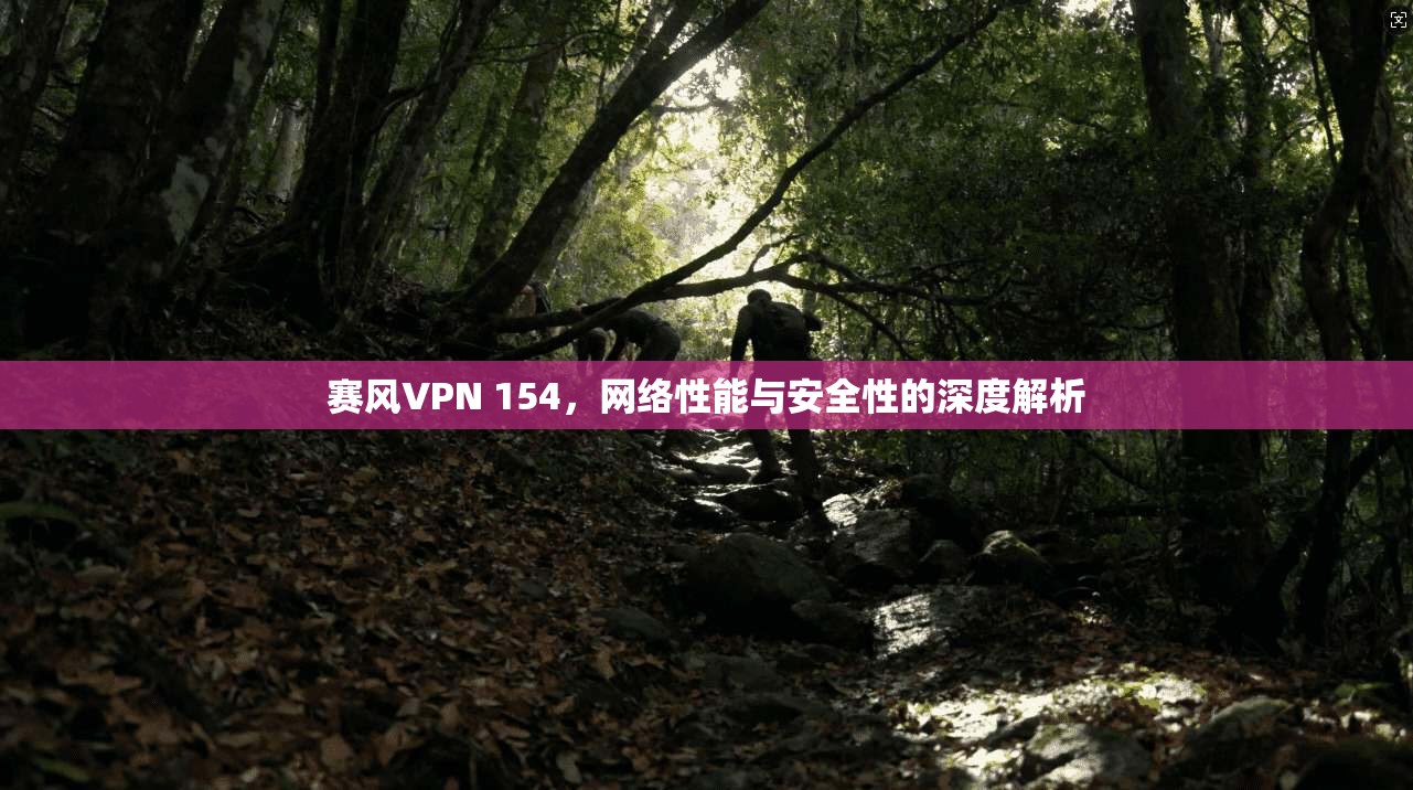 赛风VPN 154，网络性能与安全性的深度解析  第1张