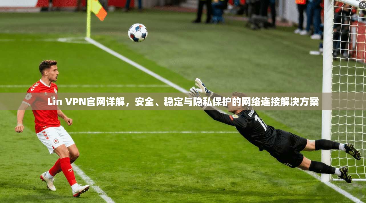 Lin VPN官网详解，安全、稳定与隐私保护的网络连接解决方案  第1张