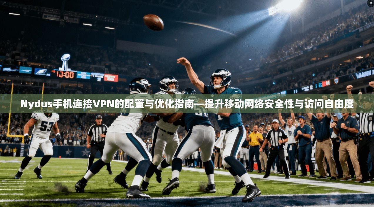 Nydus手机连接VPN的配置与优化指南—提升移动网络安全性与访问自由度 第1张 Nydus手机连接VPN的配置与优化指南—提升移动网络安全性与访问自由度 第1张