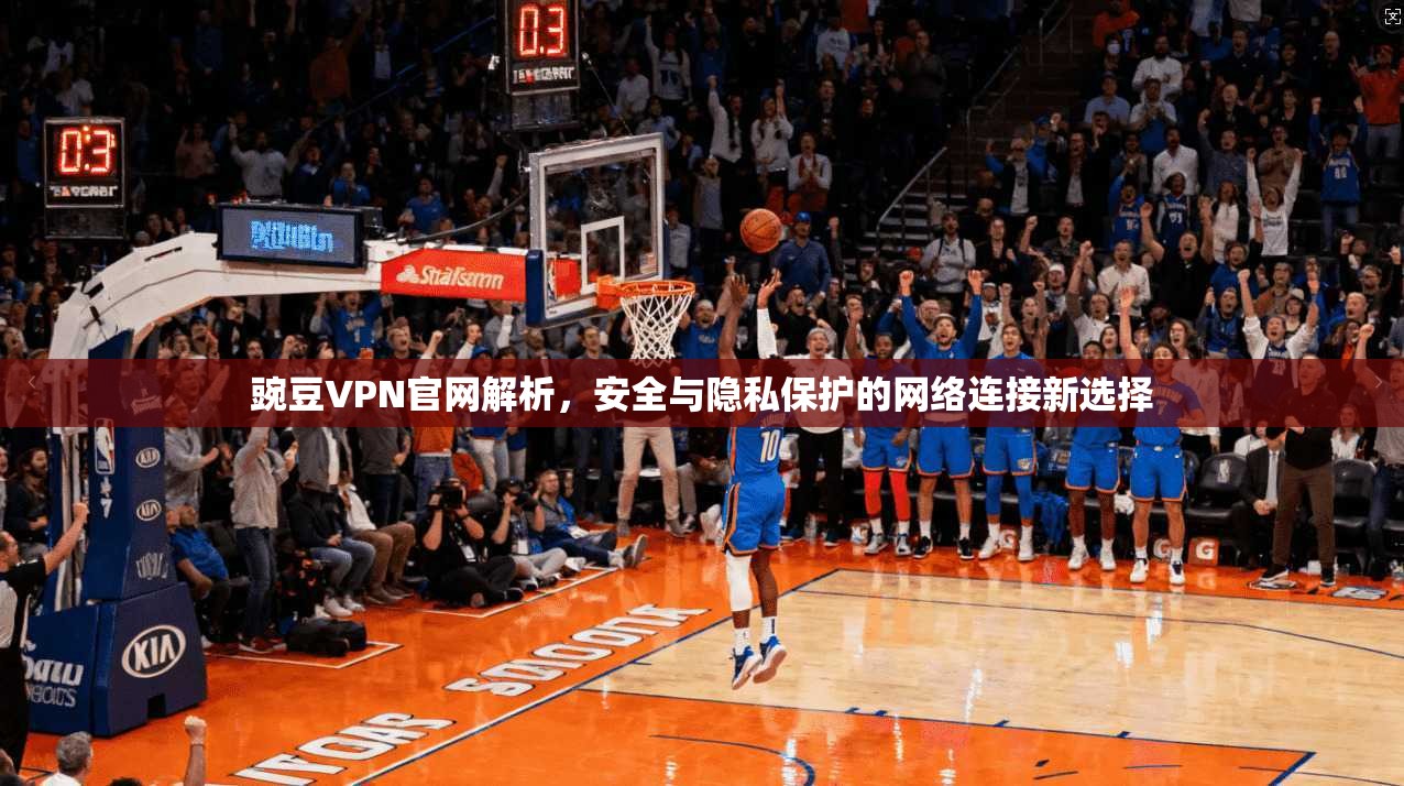 豌豆VPN官网解析，安全与隐私保护的网络连接新选择  第1张