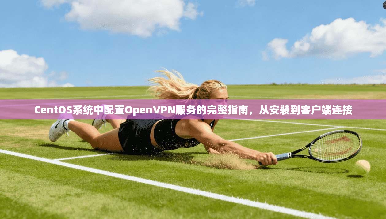 CentOS系统中配置OpenVPN服务的完整指南，从安装到客户端连接  第1张
