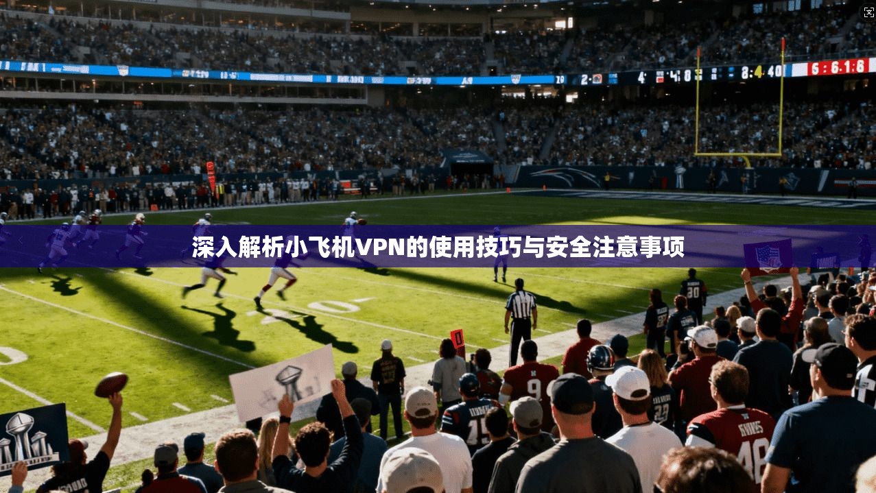 深入解析小飞机VPN的使用技巧与安全注意事项  第1张