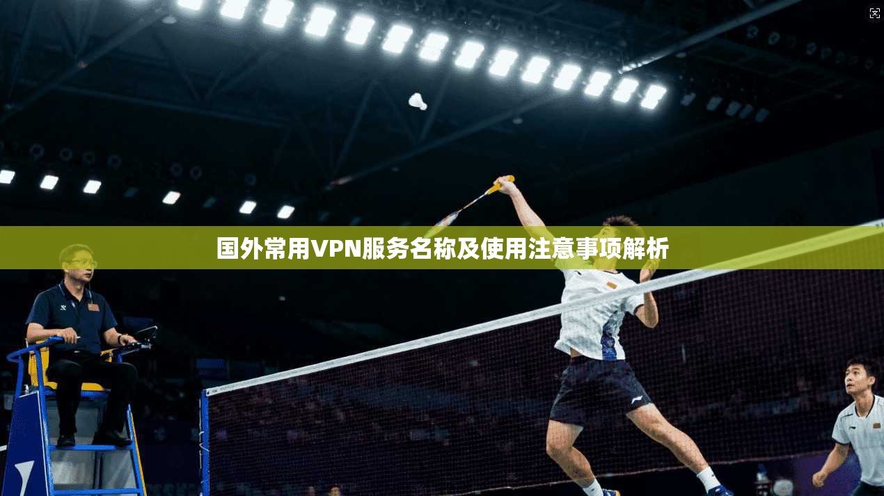 国外常用VPN服务名称及使用注意事项解析  第1张
