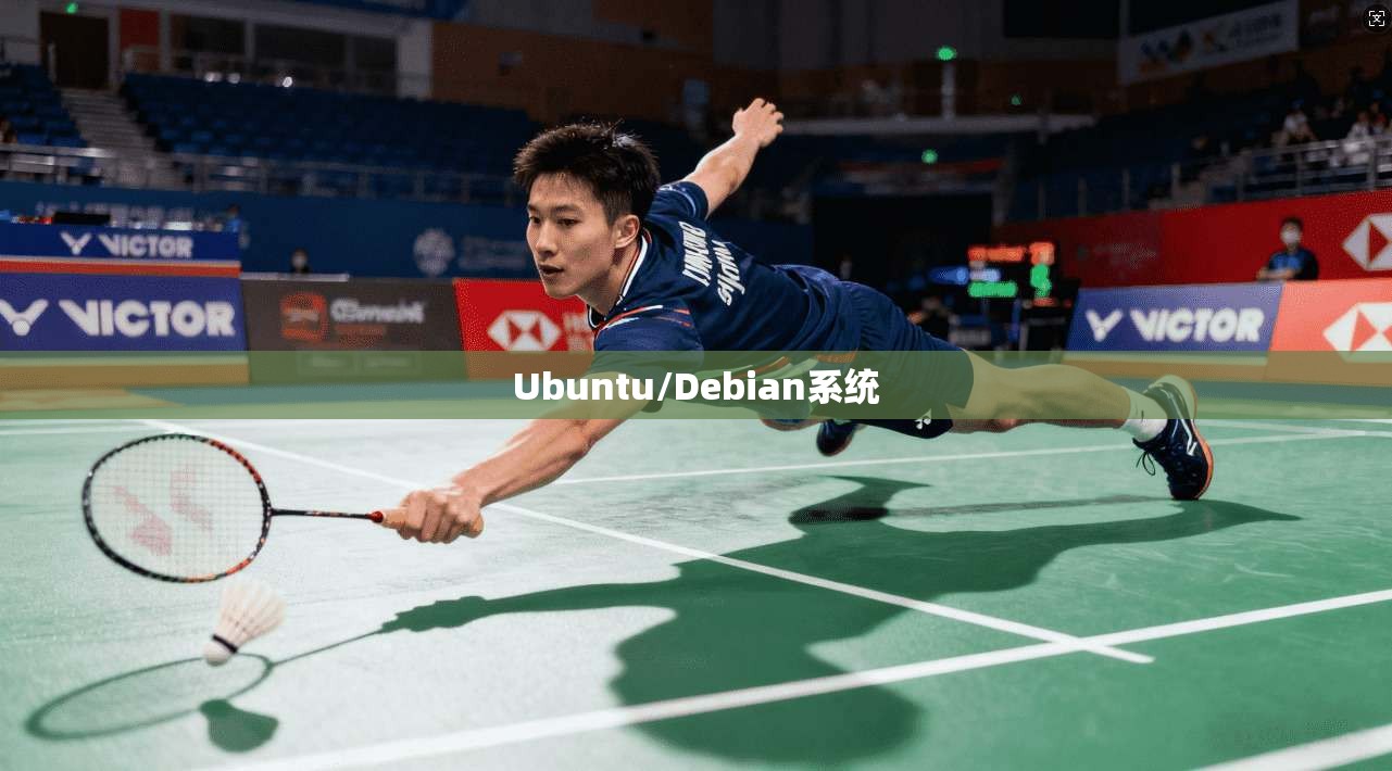 Ubuntu/Debian系统  第1张