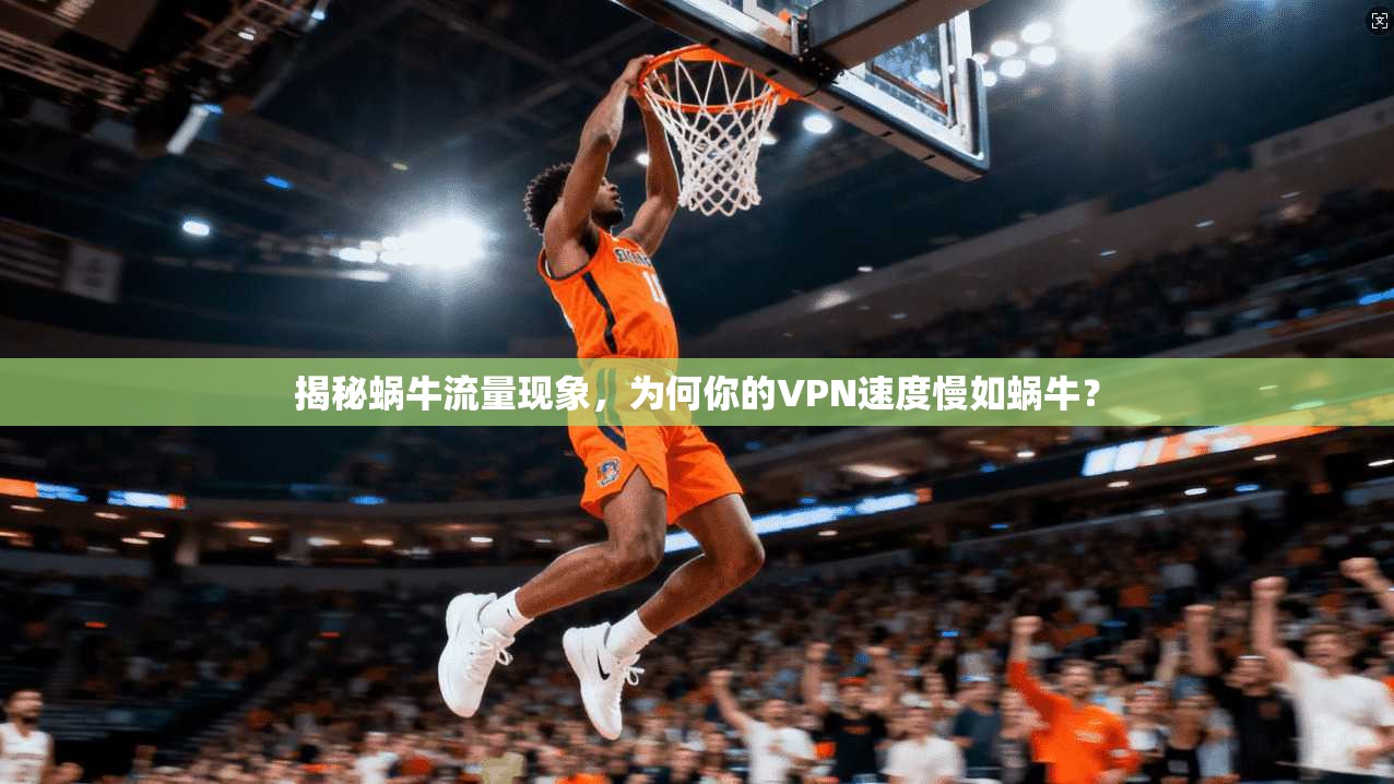 揭秘蜗牛流量现象,为何你的VPN速度慢如蜗牛? 第1张 揭秘蜗牛流量现象,为何你的VPN速度慢如蜗牛? 第1张