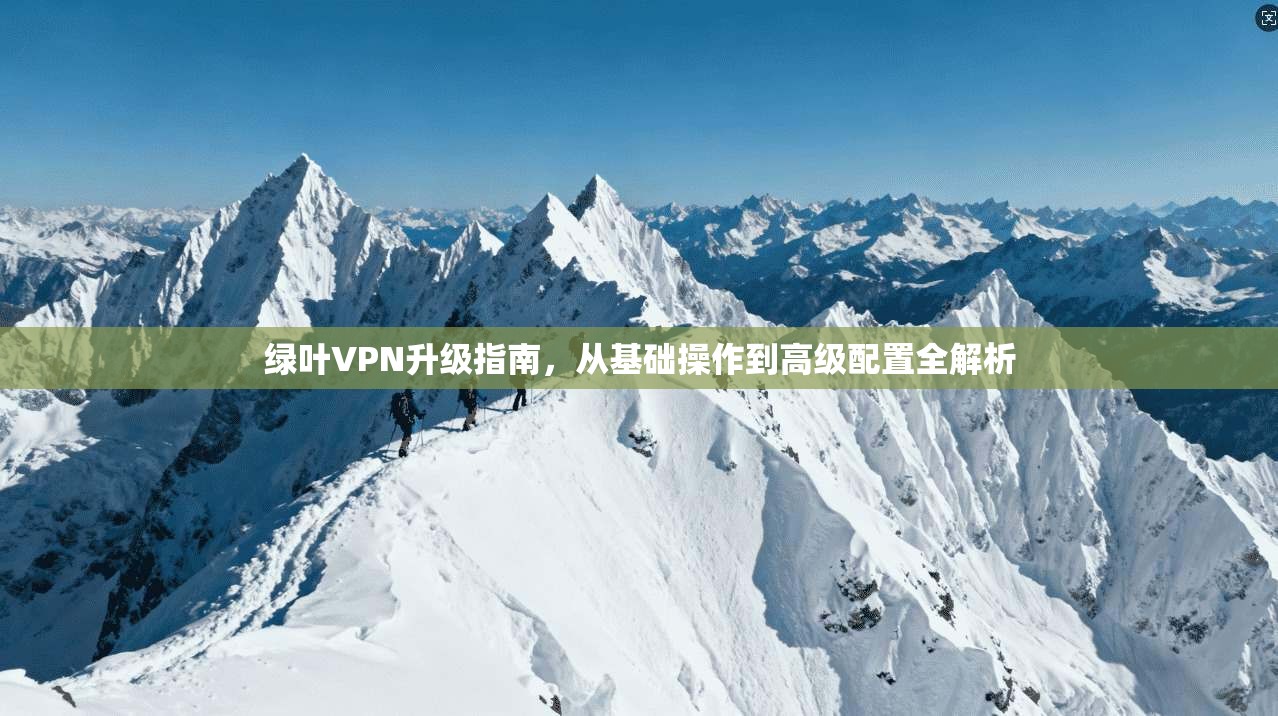 绿叶VPN升级指南,从基础操作到高级配置全解析 第1张 绿叶VPN升级指南,从基础操作到高级配置全解析 第1张