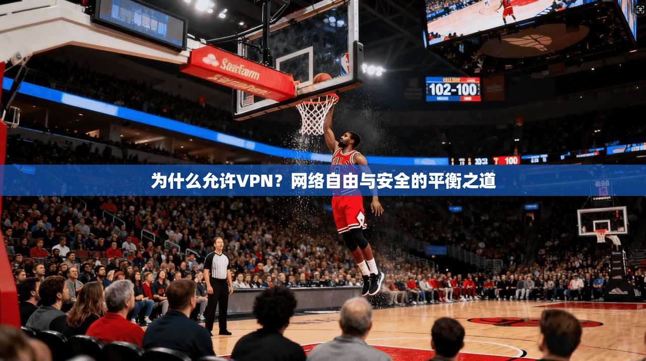 为什么允许VPN？网络自由与安全的平衡之道  第1张