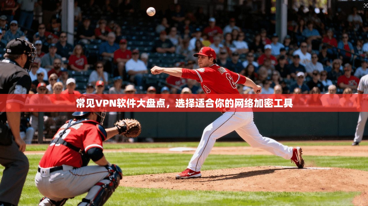 常见VPN软件大盘点,选择适合你的网络加密工具 第1张 常见VPN软件大盘点,选择适合你的网络加密工具 第1张
