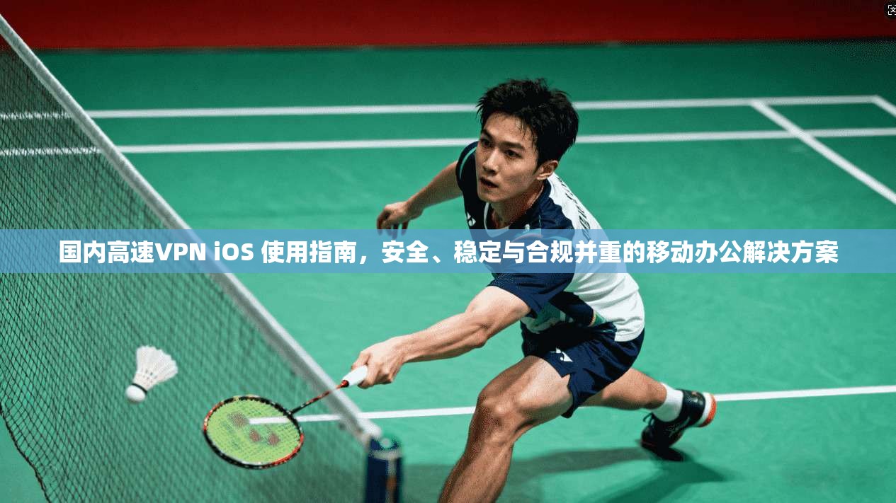 国内高速VPN iOS 使用指南,安全、稳定与合规并重的移动办公解决方案 第1张 国内高速VPN iOS 使用指南,安全、稳定与合规并重的移动办公解决方案 第1张