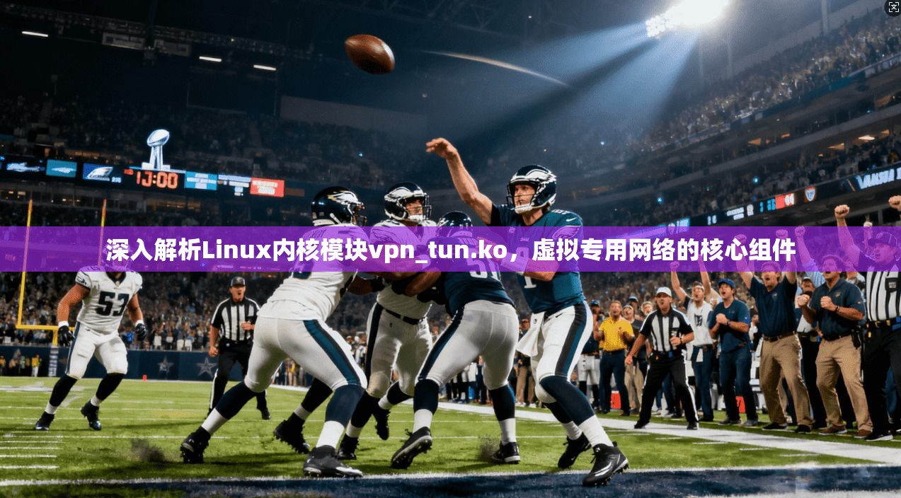深入解析Linux内核模块vpn_tun.ko，虚拟专用网络的核心组件  第1张