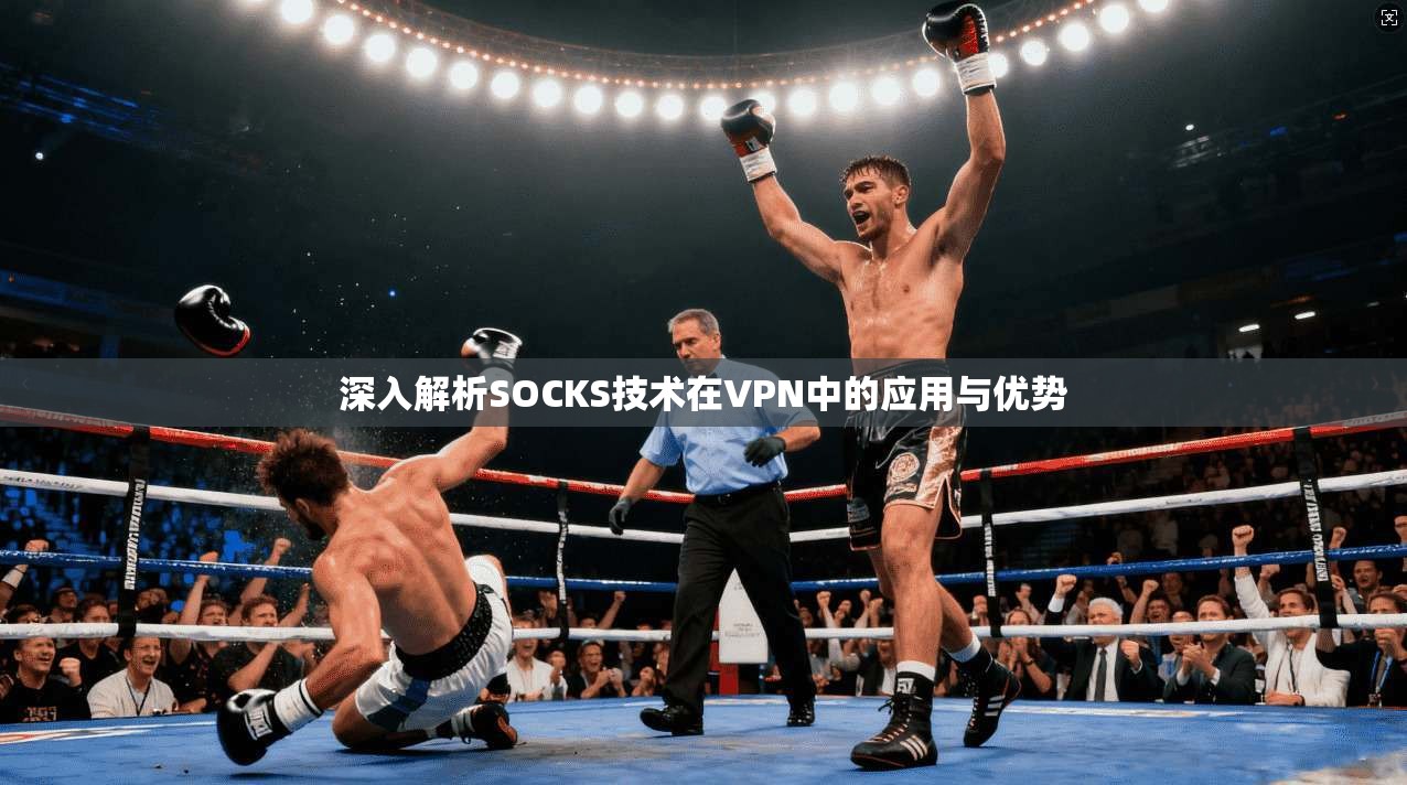 深入解析SOCKS技术在VPN中的应用与优势 第1张 深入解析SOCKS技术在VPN中的应用与优势 第1张