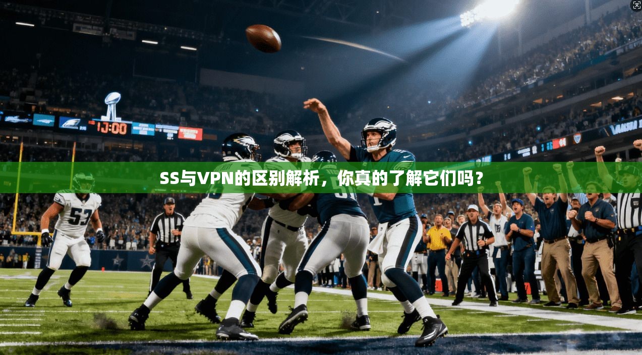 SS与VPN的区别解析，你真的了解它们吗？  第1张