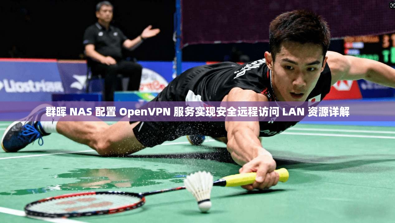 群晖 NAS 配置 OpenVPN 服务实现安全远程访问 LAN 资源详解  第1张