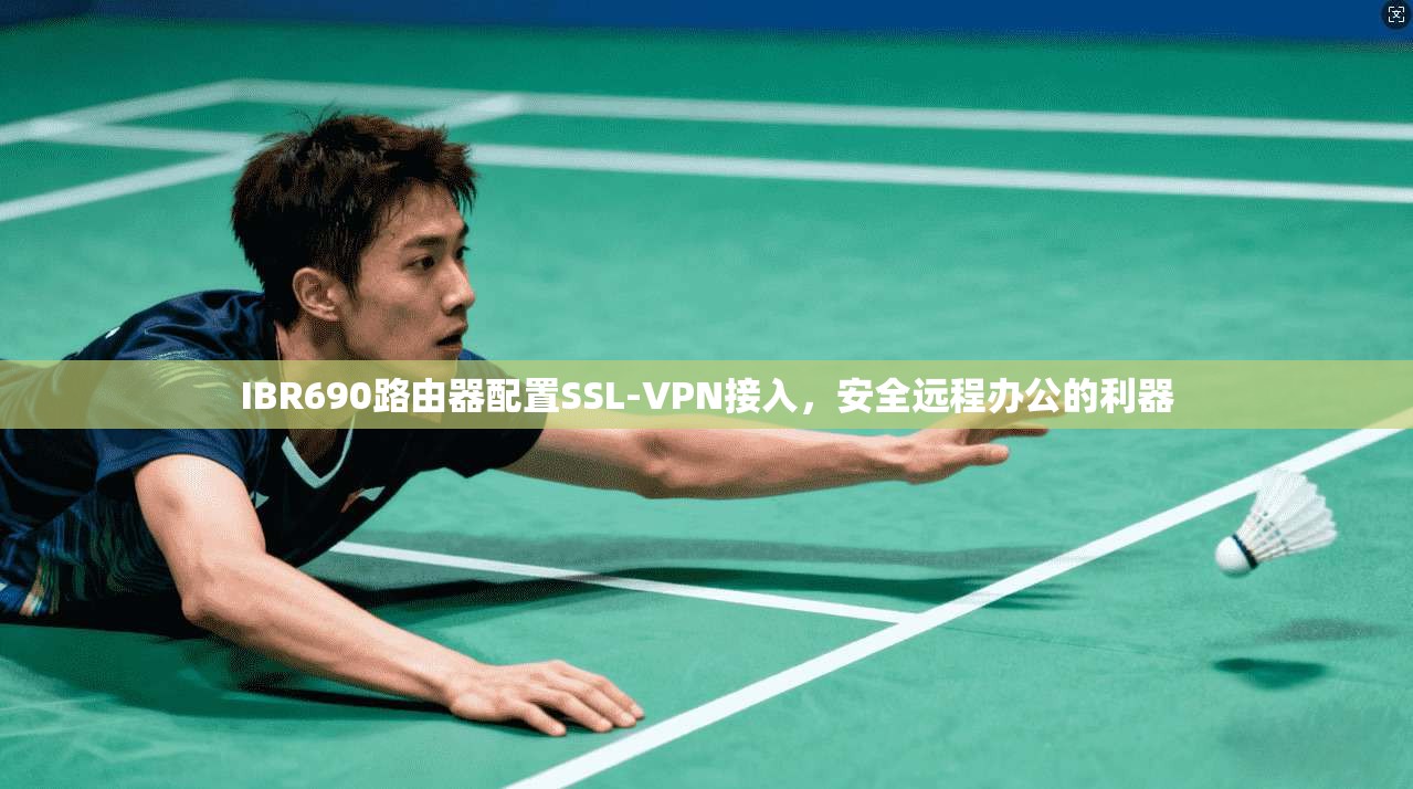 IBR690路由器配置SSL-VPN接入，安全远程办公的利器  第1张