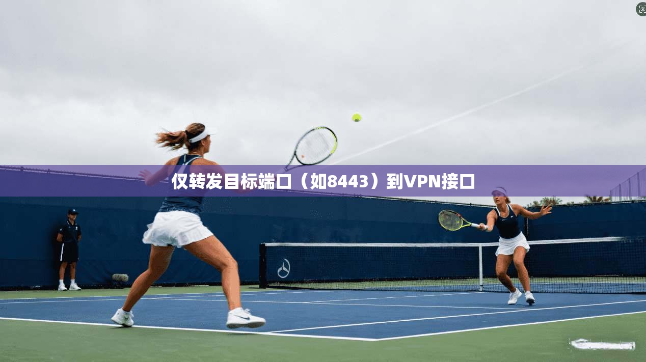 仅转发目标端口(如8443)到VPN接口 第1张 仅转发目标端口(如8443)到VPN接口 第1张