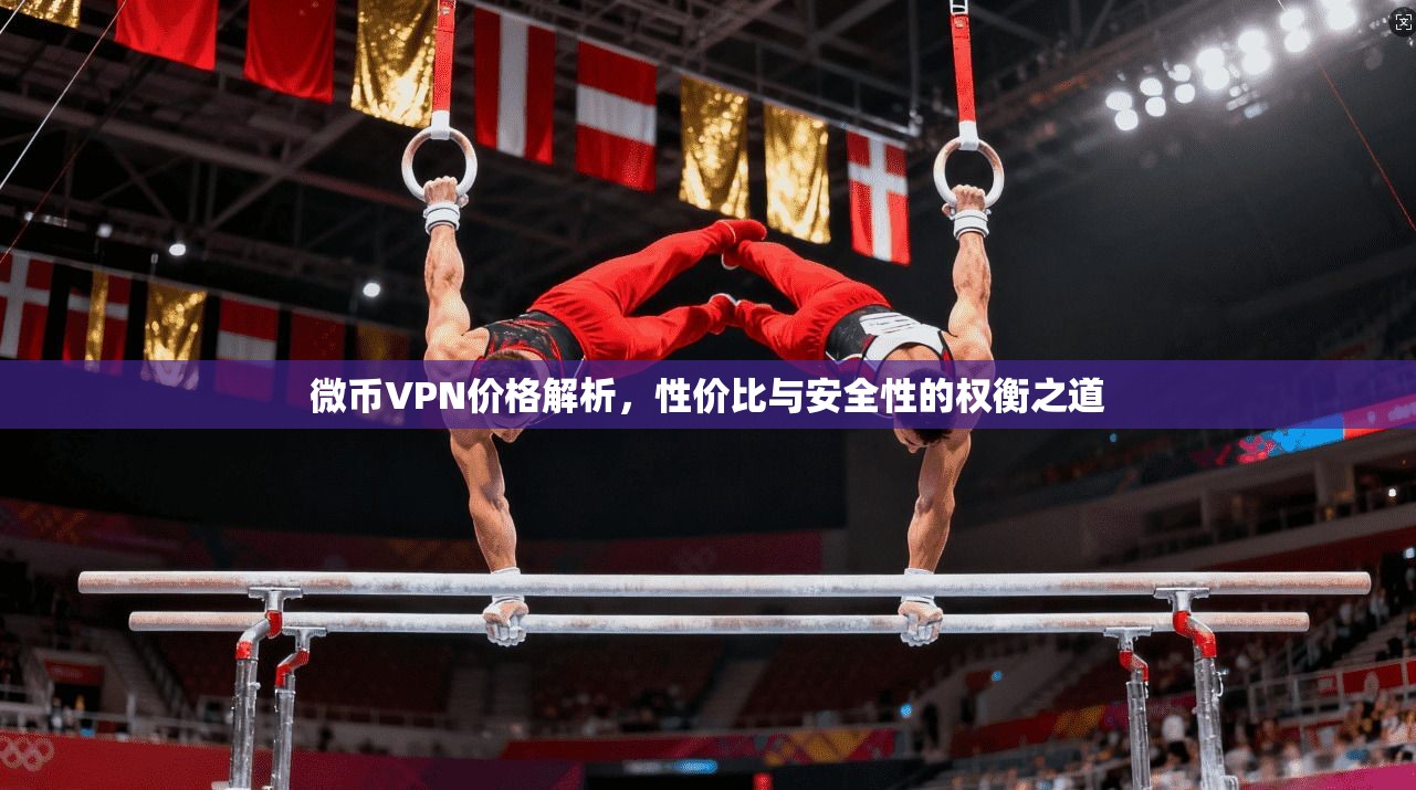 微币VPN价格解析，性价比与安全性的权衡之道  第1张