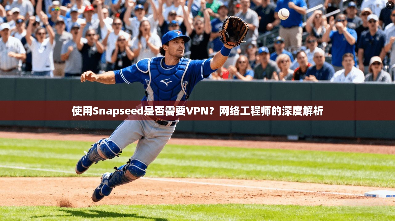 使用Snapseed是否需要VPN?网络工程师的深度解析 第1张 使用Snapseed是否需要VPN?网络工程师的深度解析 第1张
