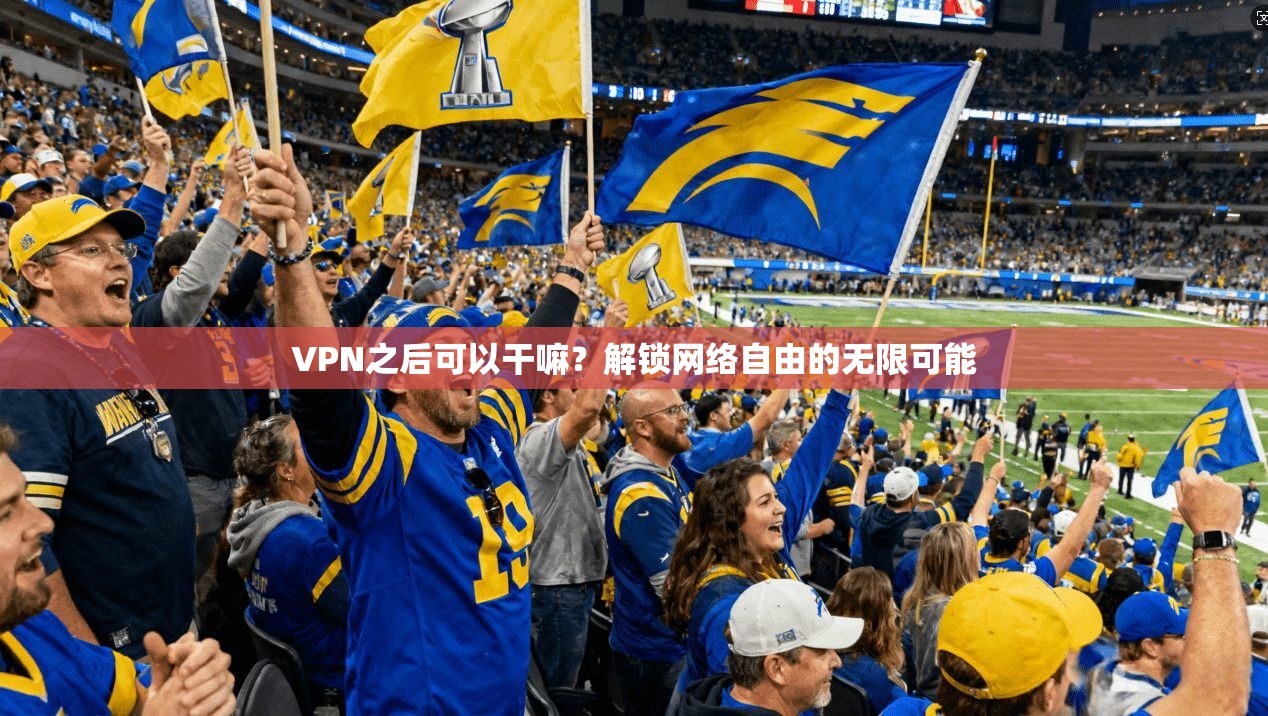 VPN之后可以干嘛？解锁网络自由的无限可能  第1张
