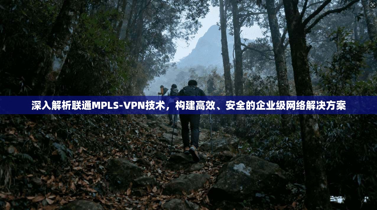 深入解析联通MPLS-VPN技术，构建高效、安全的企业级网络解决方案  第1张