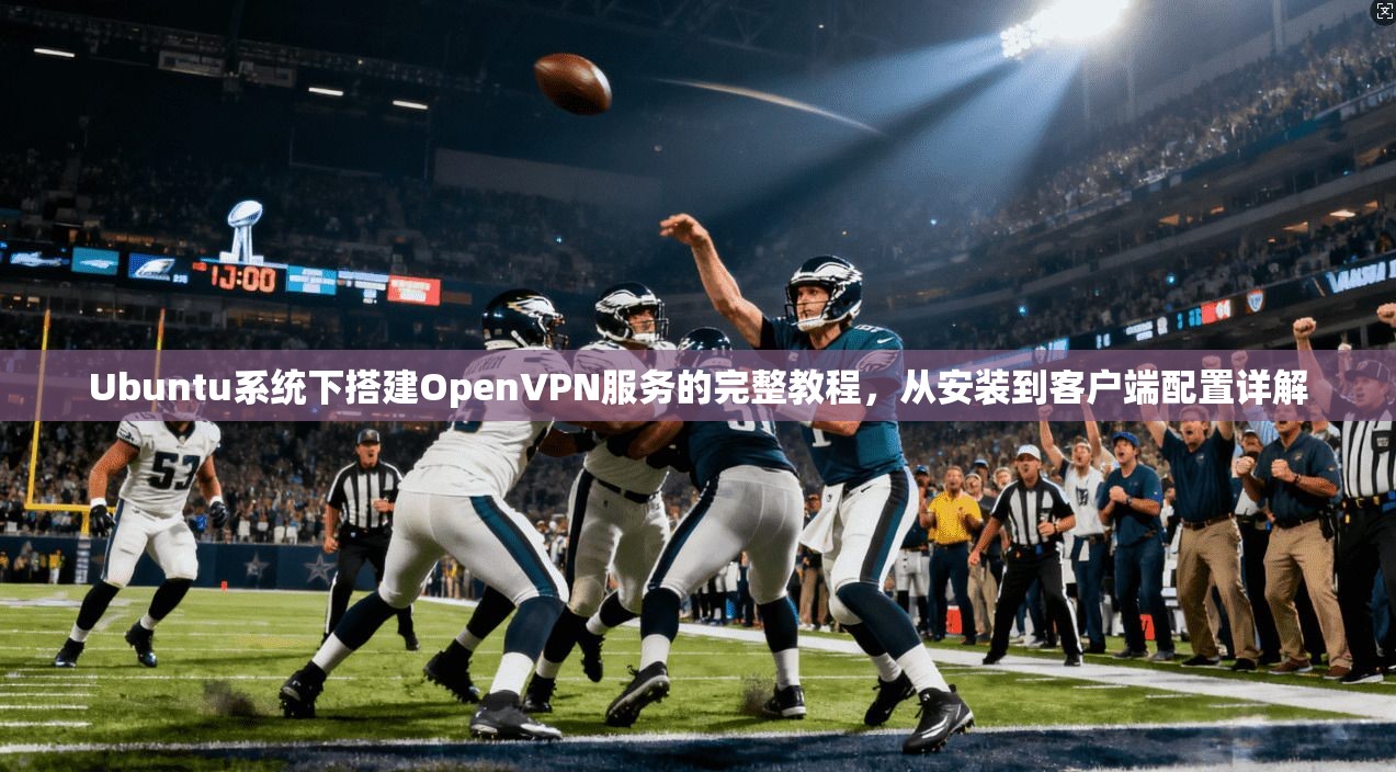 Ubuntu系统下搭建OpenVPN服务的完整教程,从安装到客户端配置详解 第1张 Ubuntu系统下搭建OpenVPN服务的完整教程,从安装到客户端配置详解 第1张