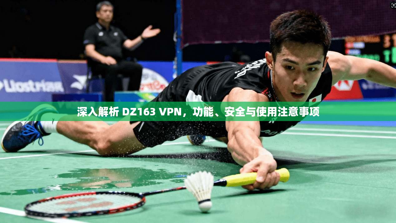 深入解析 DZ163 VPN,功能、安全与使用注意事项 第1张 深入解析 DZ163 VPN,功能、安全与使用注意事项 第1张