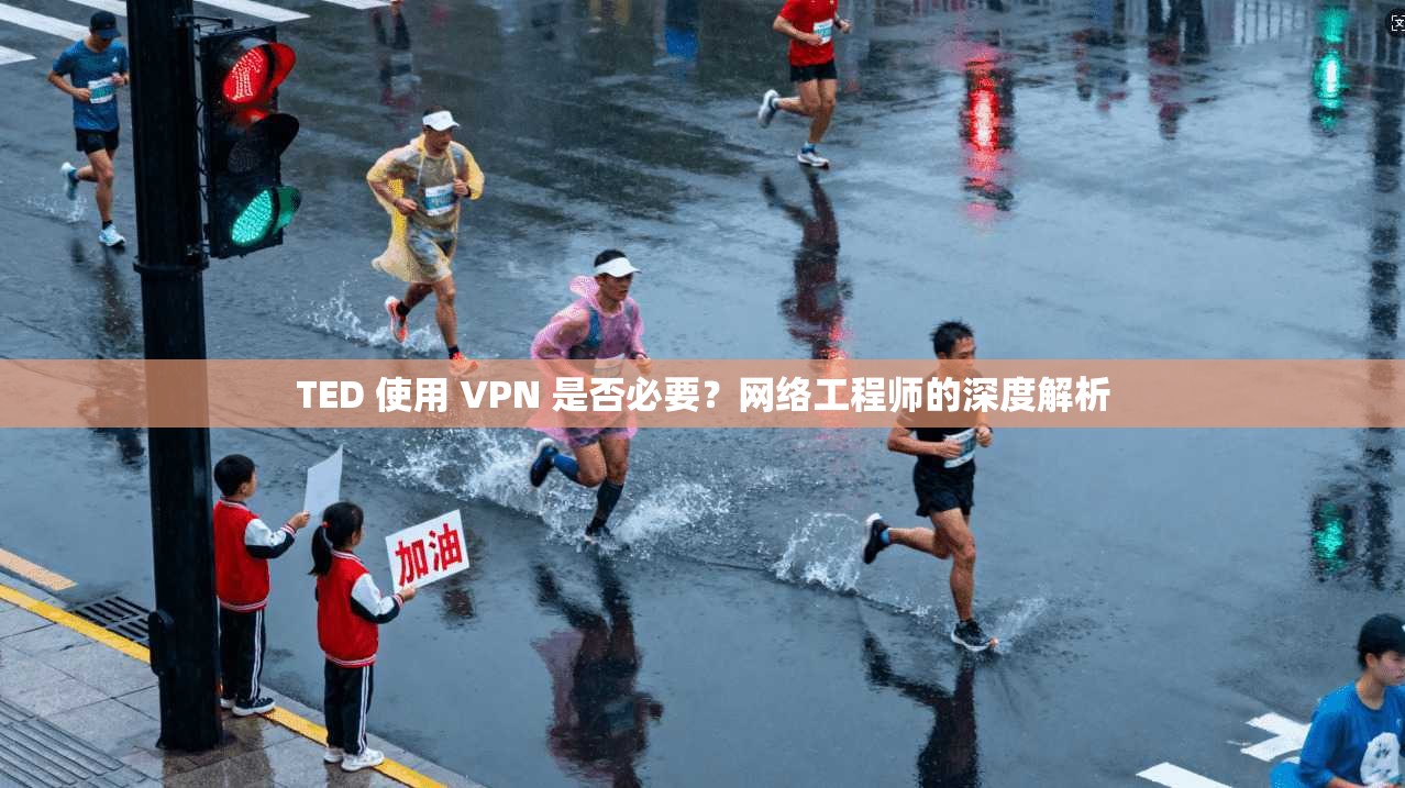 TED 使用 VPN 是否必要?网络工程师的深度解析 第1张 TED 使用 VPN 是否必要?网络工程师的深度解析 第1张