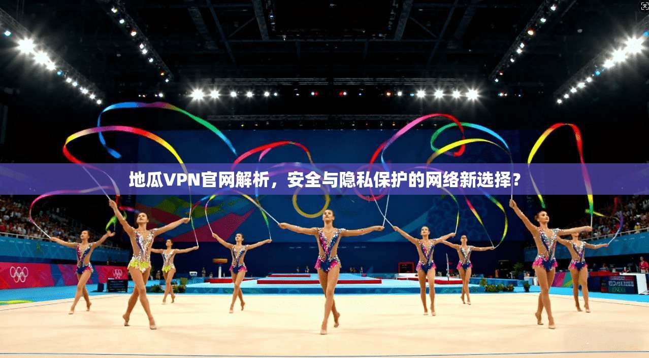 地瓜VPN官网解析，安全与隐私保护的网络新选择？  第1张