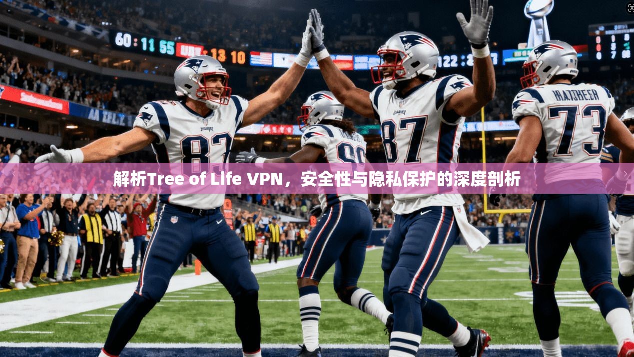 解析Tree of Life VPN，安全性与隐私保护的深度剖析  第1张