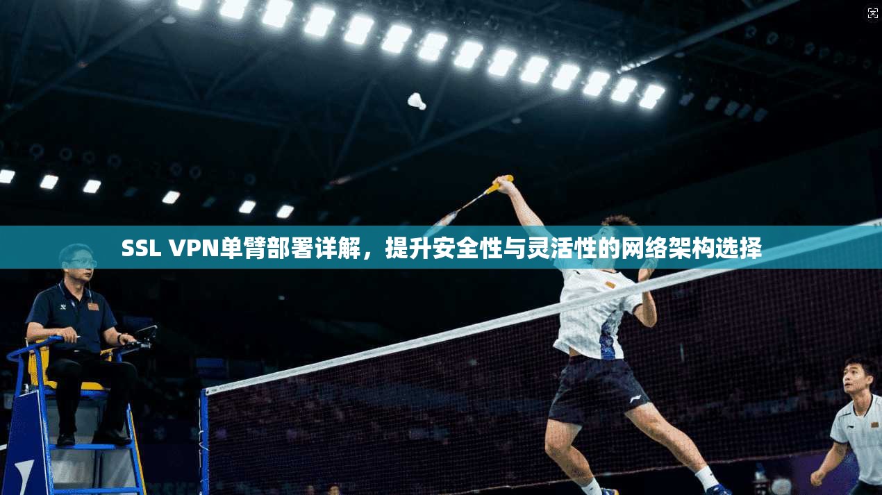 SSL VPN单臂部署详解，提升安全性与灵活性的网络架构选择  第1张