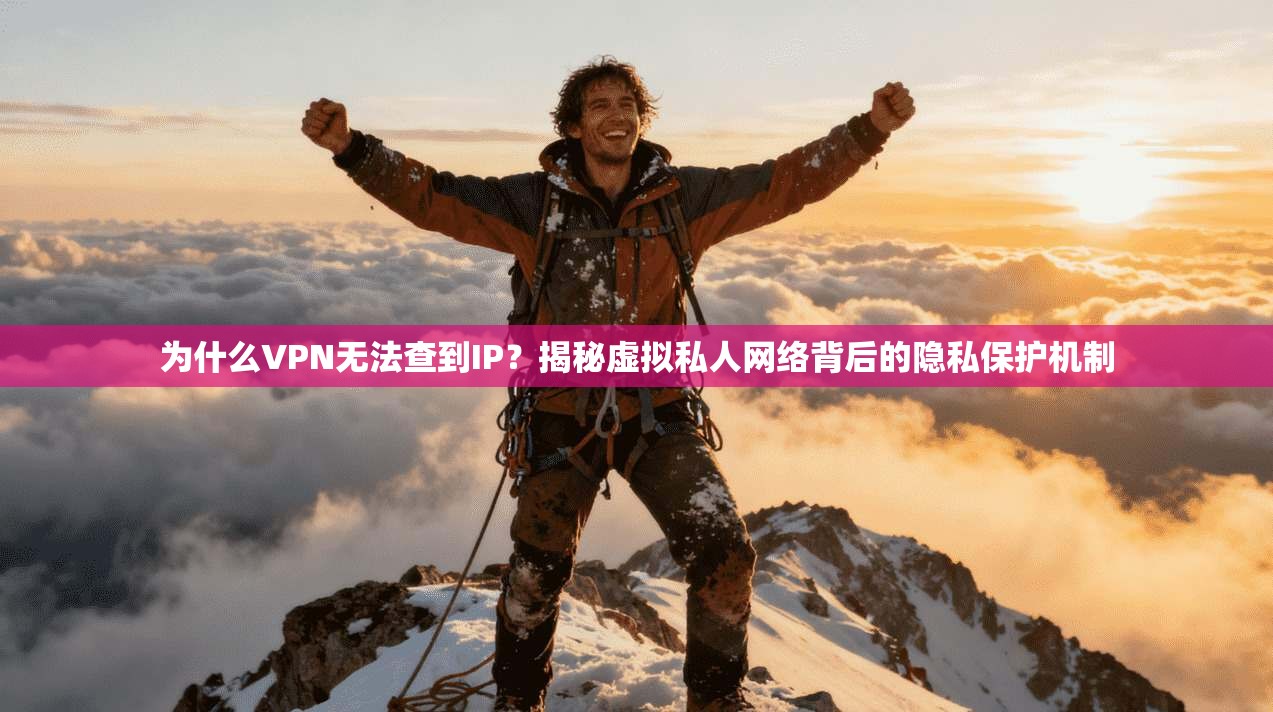 为什么VPN无法查到IP?揭秘虚拟私人网络背后的隐私保护机制 第1张 为什么VPN无法查到IP?揭秘虚拟私人网络背后的隐私保护机制 第1张