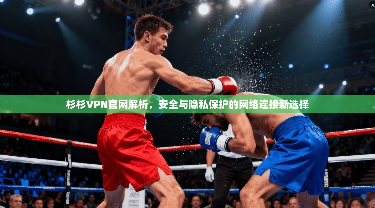 杉杉VPN官网解析，安全与隐私保护的网络连接新选择  第1张