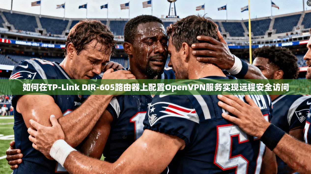 如何在TP-Link DIR-605路由器上配置OpenVPN服务实现远程安全访问  第1张