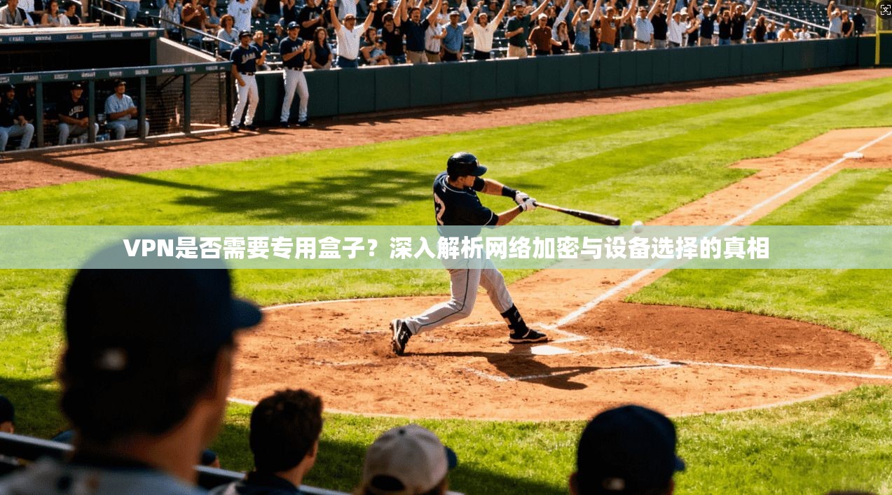 VPN是否需要专用盒子?深入解析网络加密与设备选择的真相 第1张 VPN是否需要专用盒子?深入解析网络加密与设备选择的真相 第1张