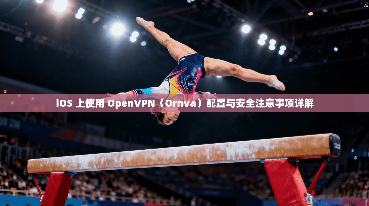 iOS 上使用 OpenVPN（Ornva）配置与安全注意事项详解  第1张