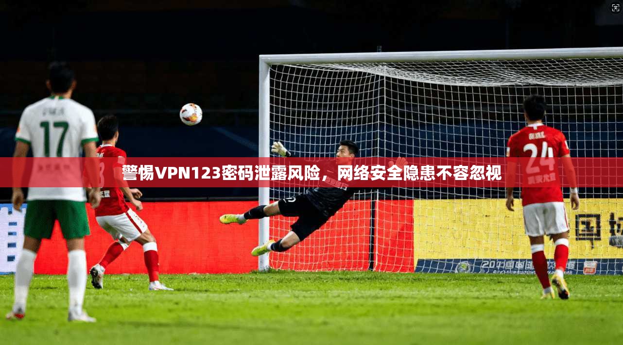 警惕VPN123密码泄露风险,网络安全隐患不容忽视 第1张 警惕VPN123密码泄露风险,网络安全隐患不容忽视 第1张
