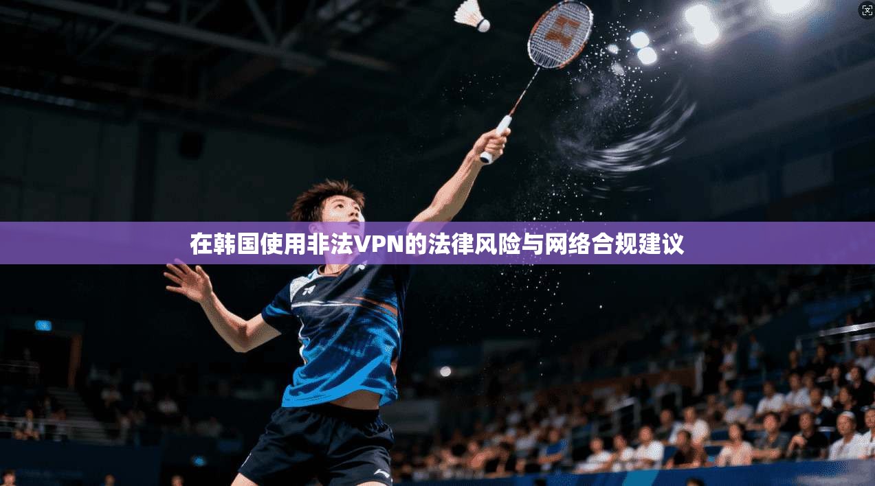 在韩国使用非法VPN的法律风险与网络合规建议  第1张