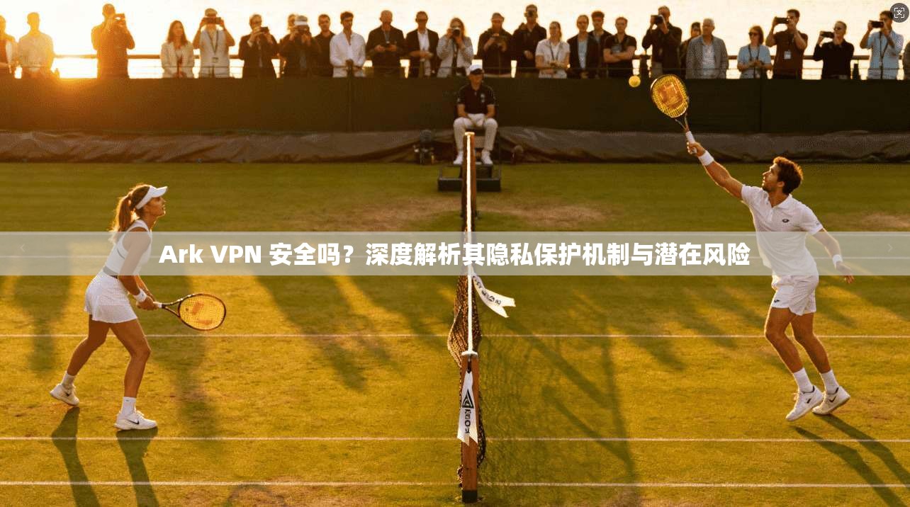 Ark VPN 安全吗？深度解析其隐私保护机制与潜在风险  第1张