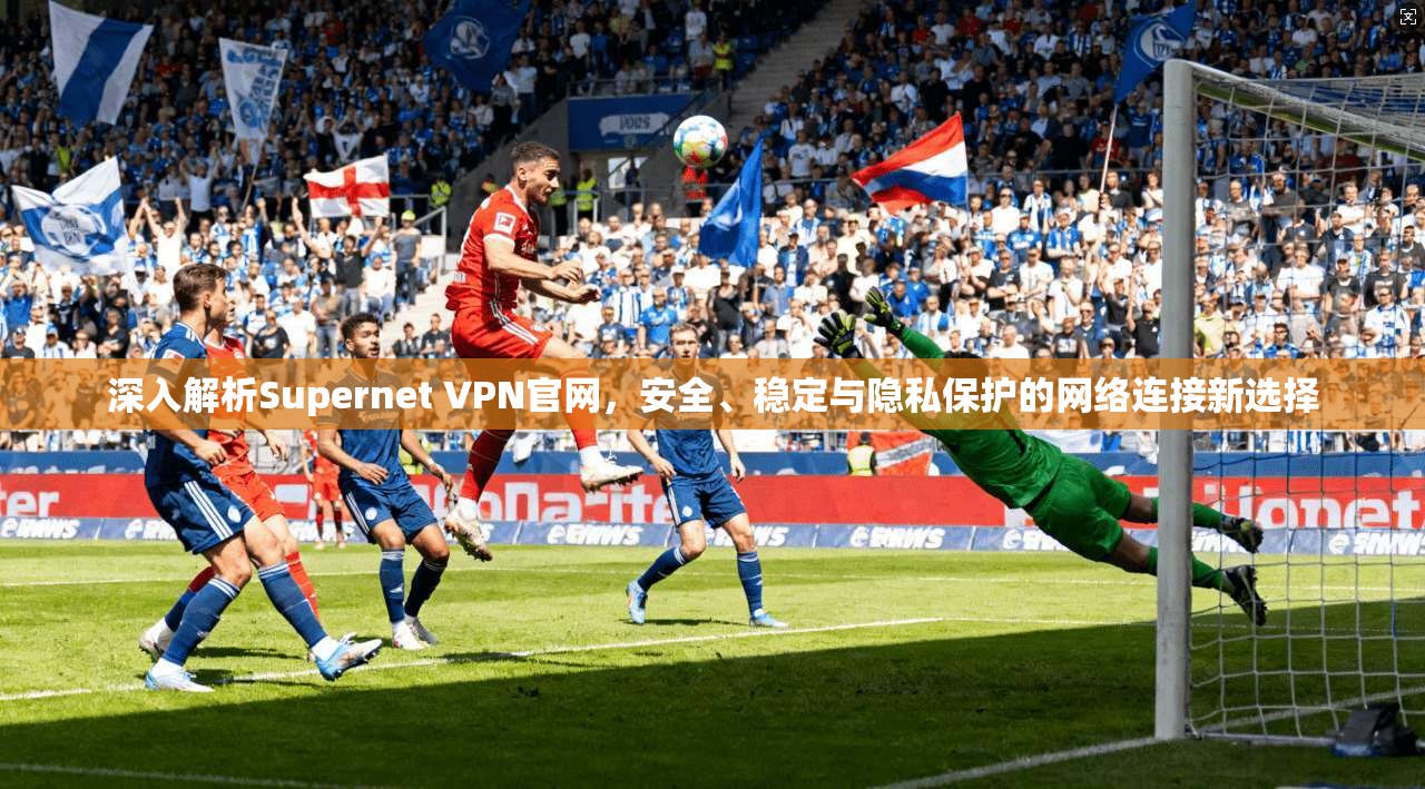 深入解析Supernet VPN官网，安全、稳定与隐私保护的网络连接新选择  第1张