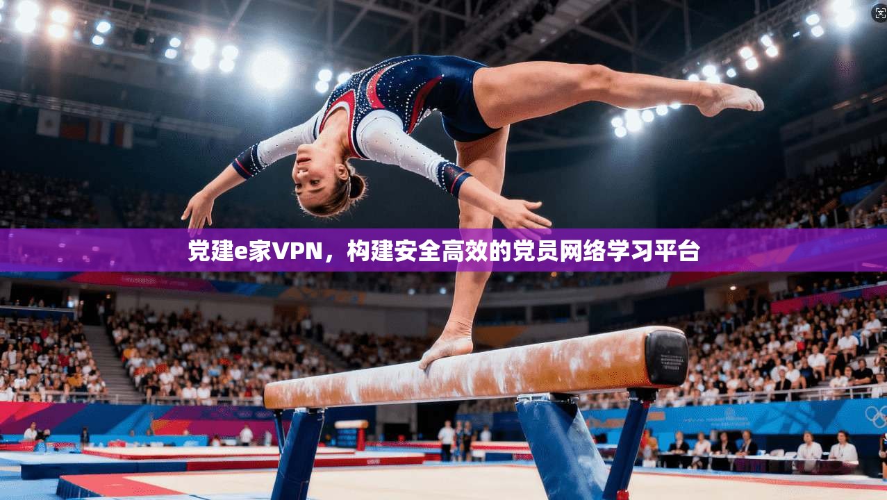 党建e家VPN，构建安全高效的党员网络学习平台  第1张