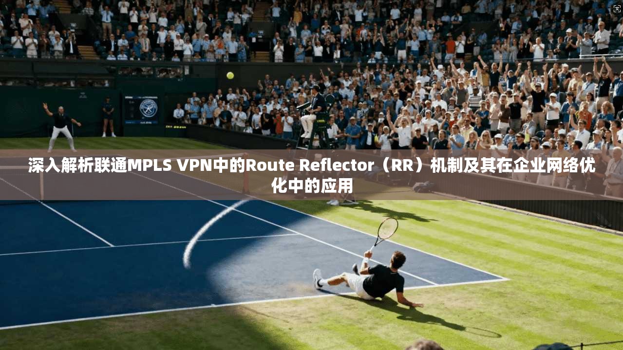 深入解析联通MPLS VPN中的Route Reflector（RR）机制及其在企业网络优化中的应用  第1张