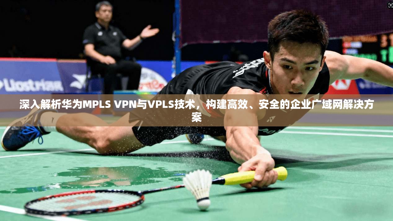 深入解析华为MPLS VPN与VPLS技术，构建高效、安全的企业广域网解决方案  第1张