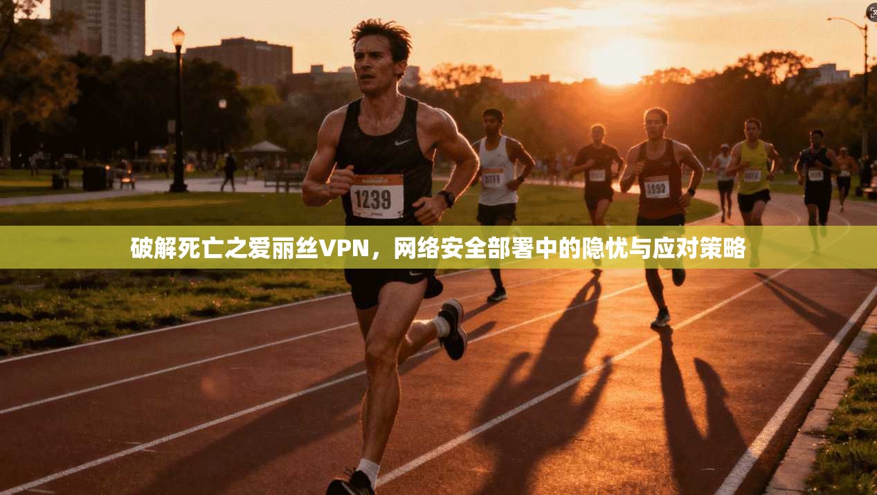 破解死亡之爱丽丝VPN，网络安全部署中的隐忧与应对策略  第1张