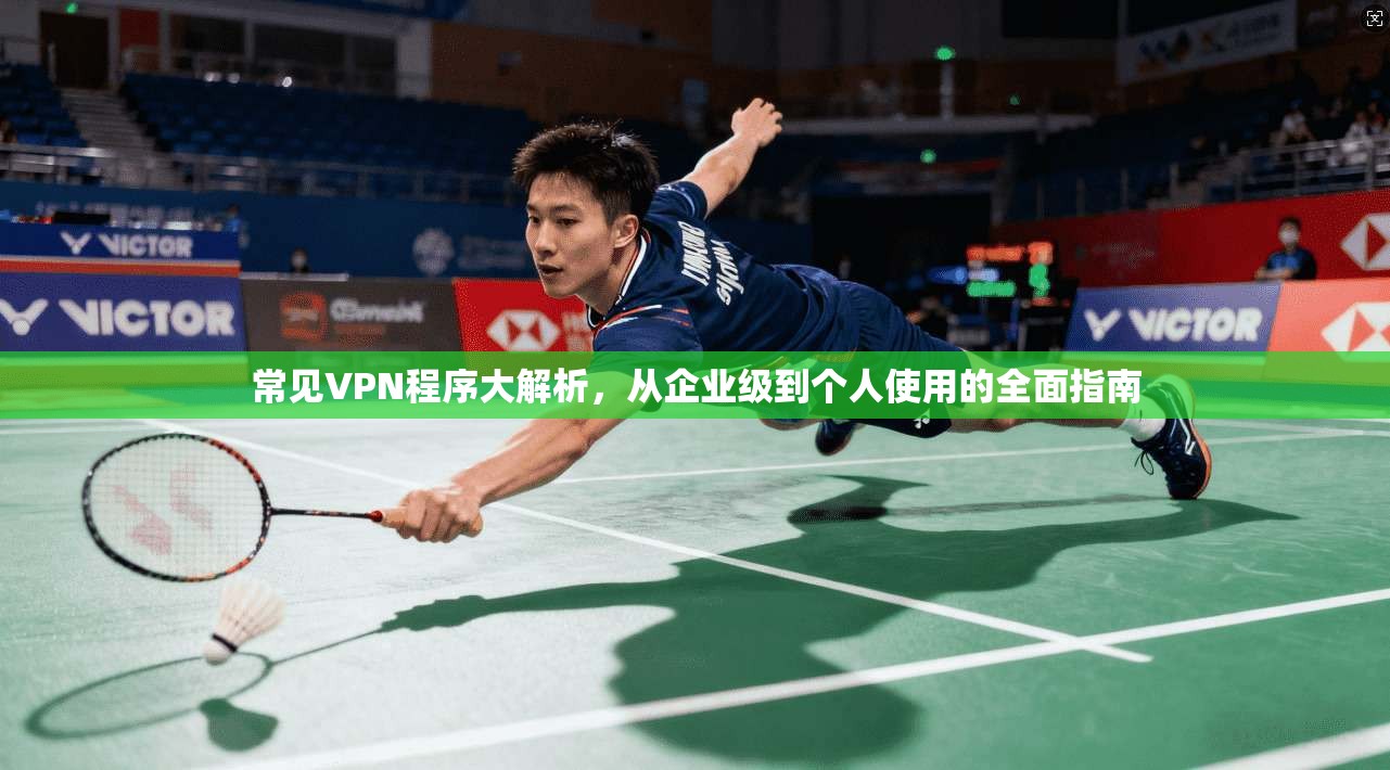 常见VPN程序大解析，从企业级到个人使用的全面指南  第1张