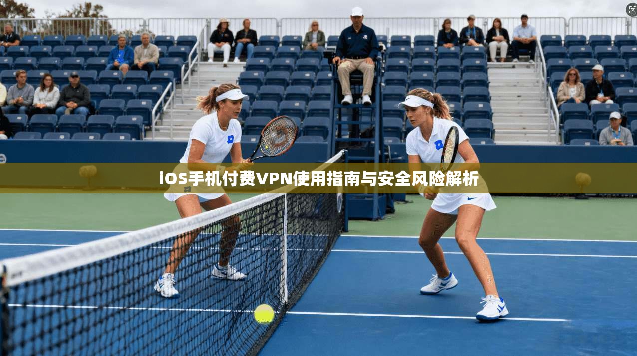 iOS手机付费VPN使用指南与安全风险解析  第1张