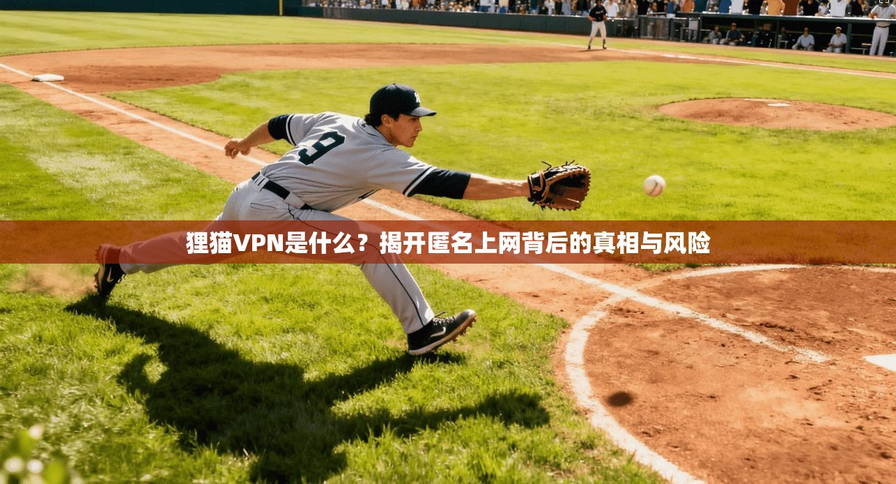 狸猫VPN是什么？揭开匿名上网背后的真相与风险  第1张