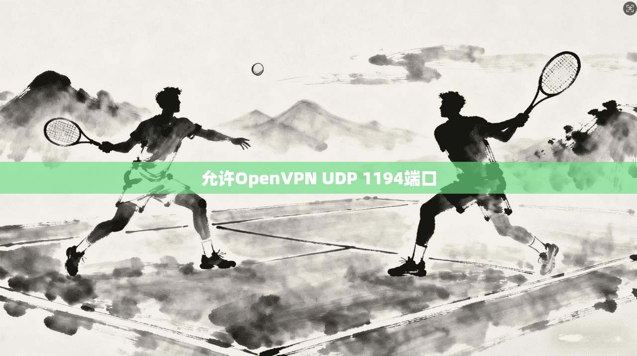 允许OpenVPN UDP 1194端口 第1张 允许OpenVPN UDP 1194端口 第1张