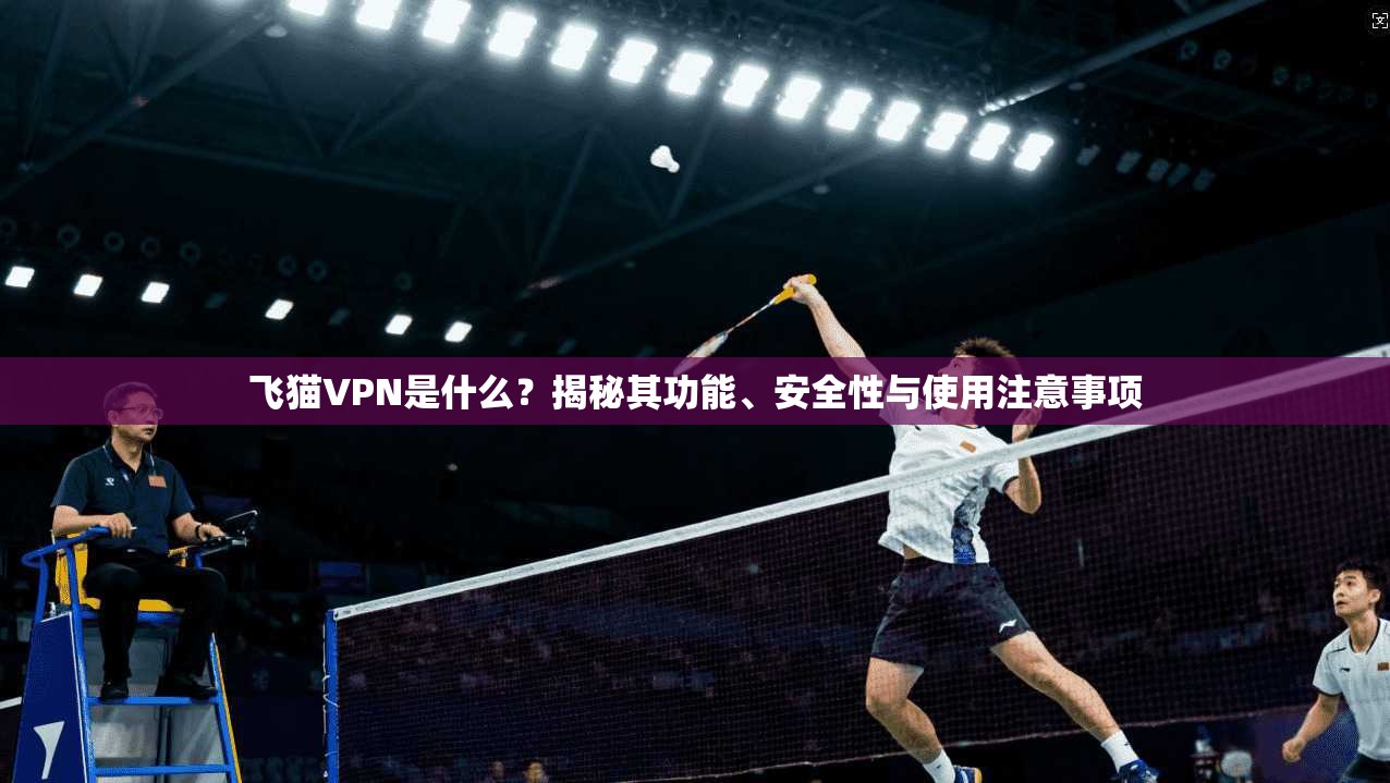 飞猫VPN是什么？揭秘其功能、安全性与使用注意事项  第1张